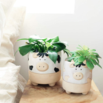 Ceramic Animal Succulent Plant Pots