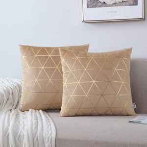 Square Decorative Throw Pillow Cushion Covers, Pack of 2
