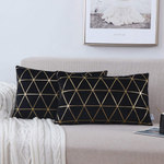 Square Decorative Throw Pillow Cushion Covers, Pack of 2
